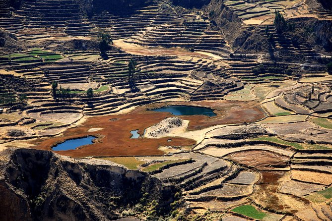 Day Tour to Colca Canyon From Arequipa - Passport and Packing Requirements