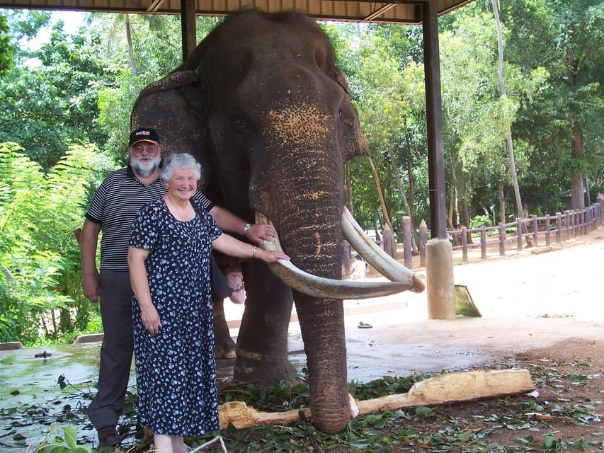 Day Tour to Pinnawala Elephant Orphanage With Indika - Transportation and Accessibility