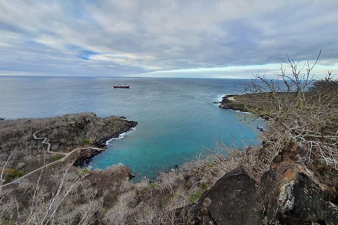 Day Tour to San Cristobal Island With Private Land Tour and Snorkeling - Snorkel Gear and Wetsuits