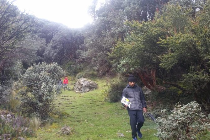 Day Tour to the Cajas National Park & Hosteria Dos Chorreras - Hiking to Polylepis Forest