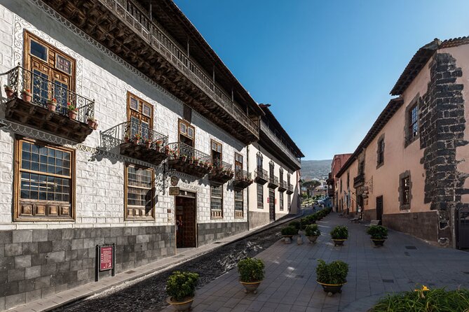 Day Tour With Official Guide Around the Island of Tenerife - Customer Reviews