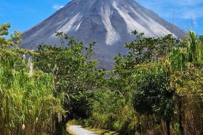 Day Trip From San Jose to Arenal Volcano & Baldi Hot Springs - Customer Reviews and Feedback