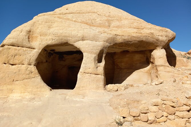 Day Trip to Petra by Ferry From Sharm El Sheikh - Traveler Testimonials
