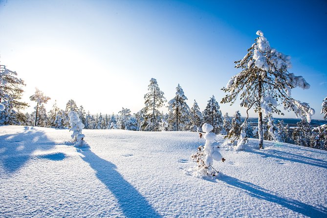 Deep Snow Powder Driving - Customer Experiences and Feedback