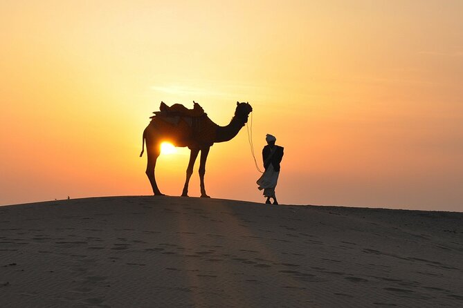 Deluxe Dubai Desert Safari With BBQ Dinner - Health Restrictions and Accessibility