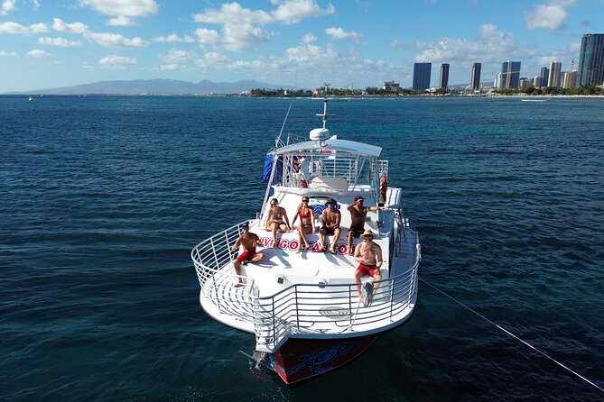 Deluxe Snorkel and Wildlife Cruise in Waikiki - Customer Reviews and Feedback