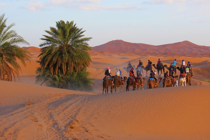 Desert Odyssey: a 2-Day Journey From Marrakech to Zagora - Pricing Information