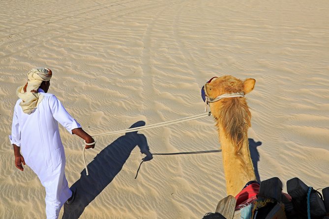 Desert Safari With Camel Ride, Sand Boarding & Inland Sea Tour in Doha - Additional Adventure Options