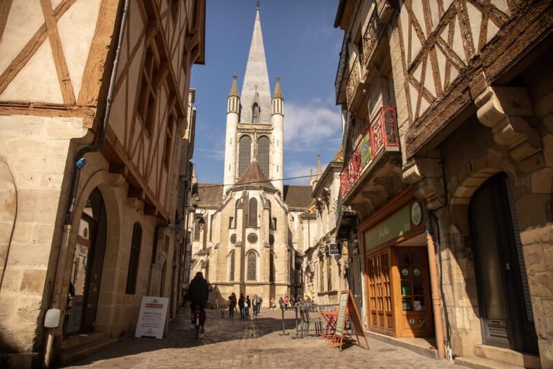 Dijon Historical City Center Private Walking Tour - Architectural and Cultural Features