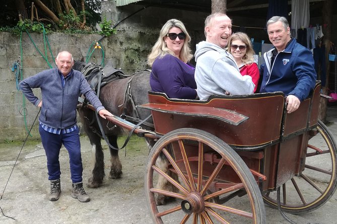 Dingle Town & Peninsula Private Chauffeur Driven Day Tour From Killarney Luxury - Traveler Photo Sharing