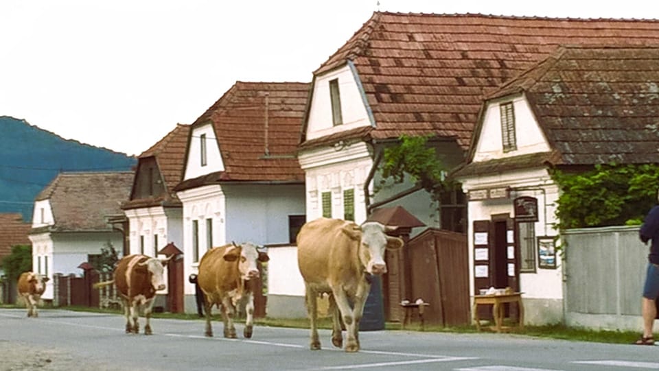 Dinner & Evening Walk in Rimetea (5 H, From Cluj) - Inclusions