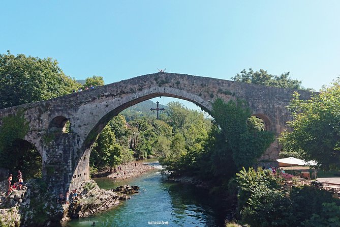 Direct Tour to Covadonga Lakes Picos De Europa From Oviedo - Ideal for Nature Enthusiasts