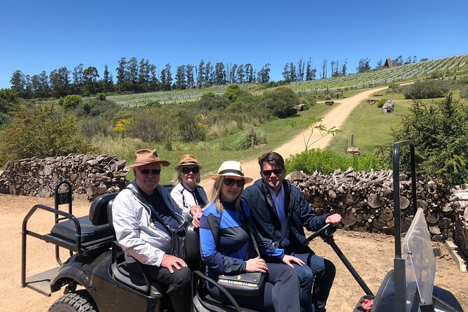 Discover a Hidden Vineyard off the Beaten Track! - Attentive Service