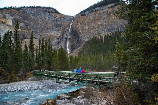 Discover Grizzly Bears From Banff - Guest Experiences and Reviews