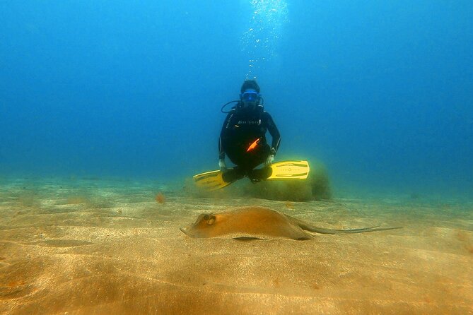 Discover PADI Scuba Diving in the Area of Tortugas in Playa De Abades - Health and Safety Information