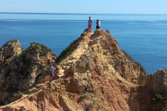 Discover Sagres & Lagos & Portimao ( Full Day Private Van Tour ) - Reviews and Feedback