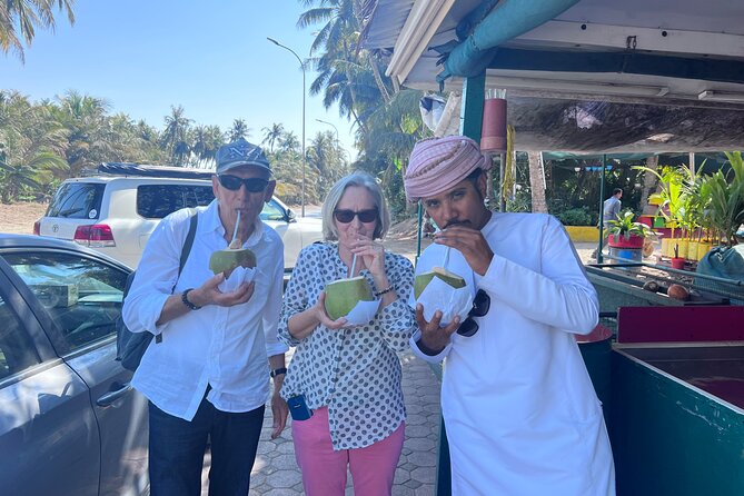 Discover Salalah City, History, Nature, Culture (Half Day Tour) - Taking in the Vibrant Souks