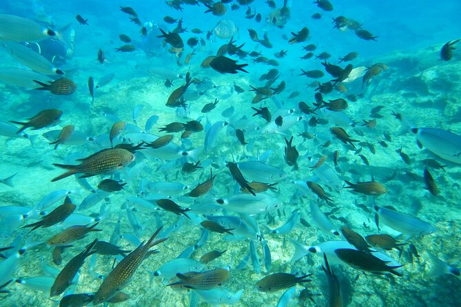 Discover Scuba Diving - Accessible for Everyone