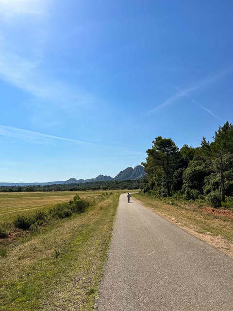 Discover the Massif Des Alpilles by Bike - Bicycle Rental and Additional Services