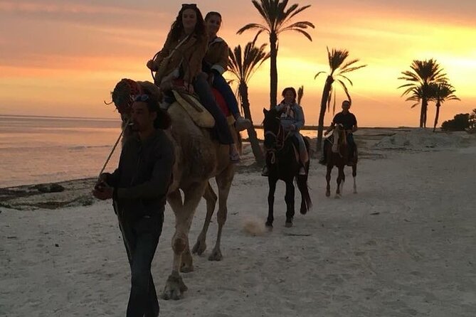 Discovery Ride on Horseback or Camel 2h30 - Scenic Highlights