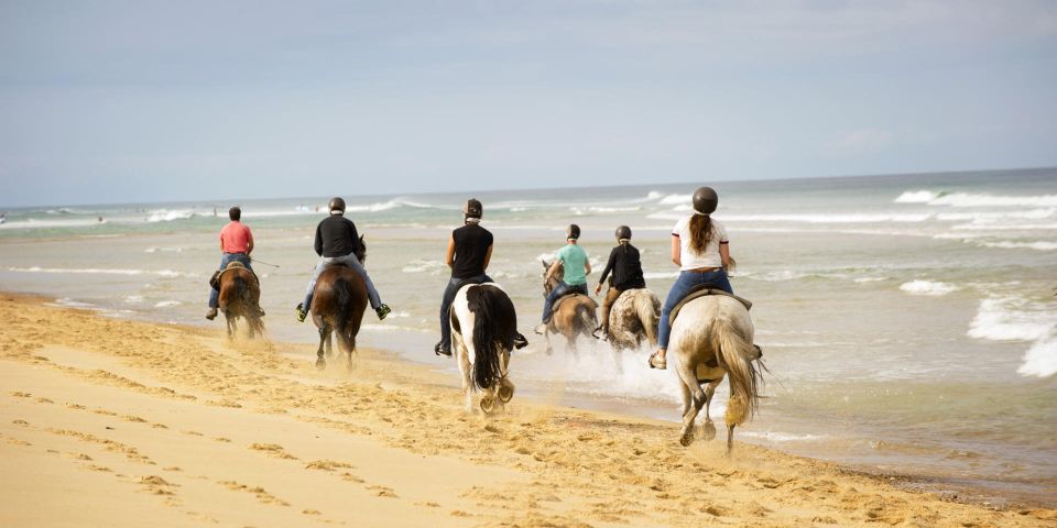 Djerba: Guided Horseback Riding Tour - Customer Feedback