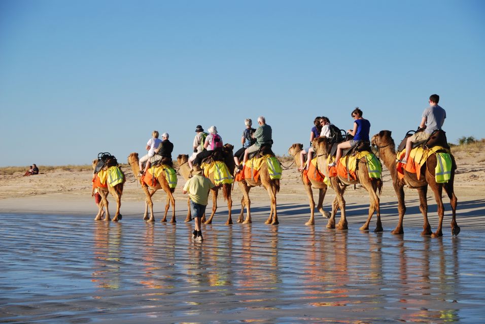 Djerba: Lagoon Camel Ride Experience - Recommendations for Visitors