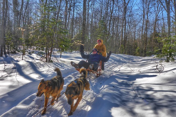 Dog Sledding Adventure From Toronto Private Tour - Pricing and Cancellation Policy