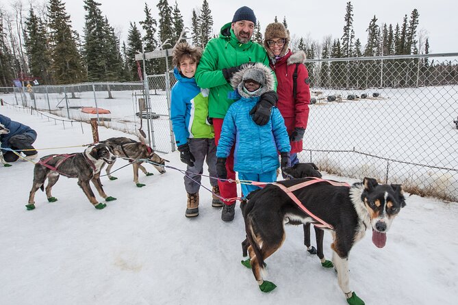 Dog Sledding - Subarctic Wilderness Tour - Booking Information