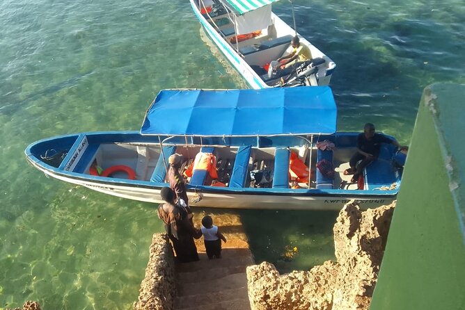 Dolphin Tour and Snorkeling in Kisite Marine Park / Wasini Island - Customer Reviews and Feedback