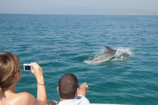 Dolphin Watching and Snorkeling Tour From Muscat - Booking Information
