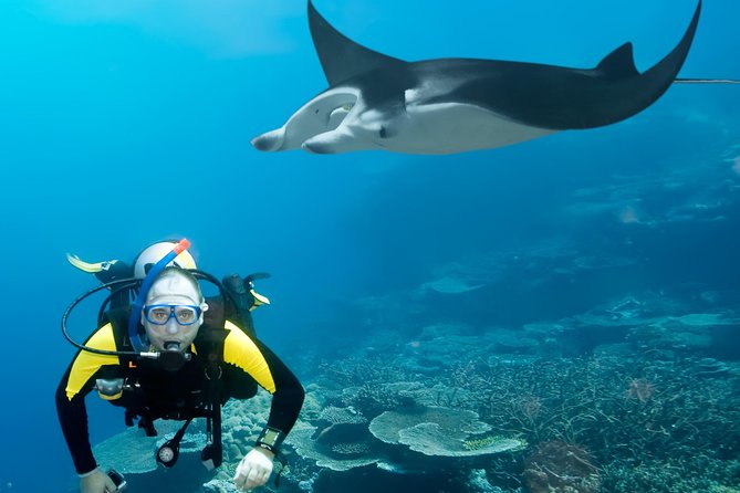 Double Diving in Sal Island - Half Day - Positive Traveler Reviews