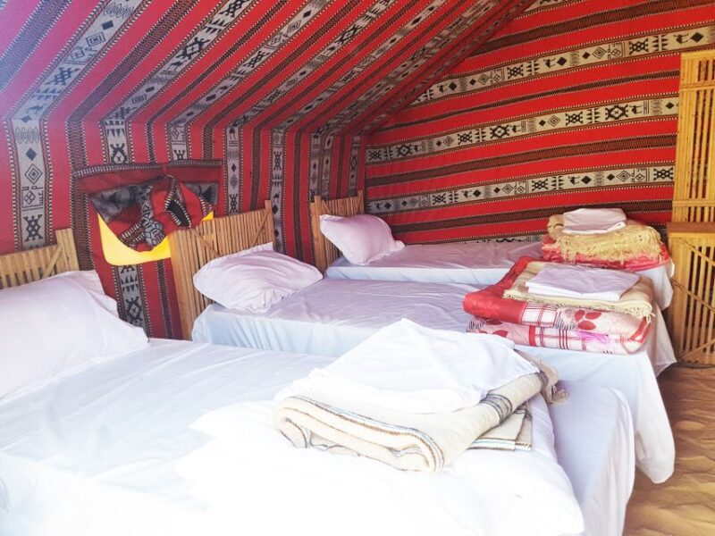 Douz: Camp Stay With Dinner, Sunset & Sunrise by Camel - Experience Highlights