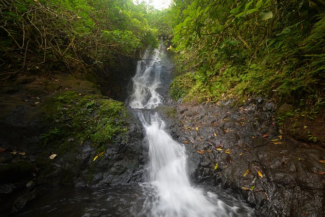 Downhill Bike and Koolau Waterfall Hike Tour - What to Expect on the Tour