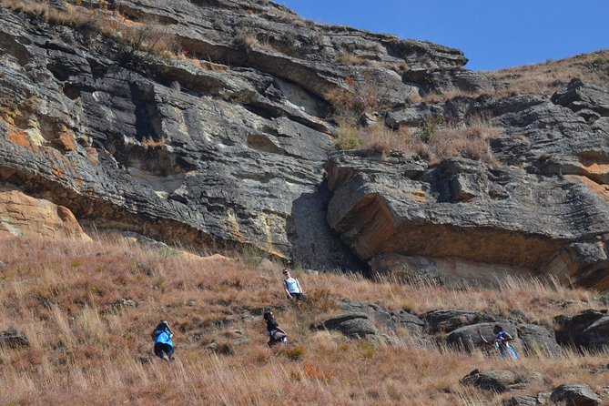 Drakensberg Kamberg Rock Art & Mandela Capture Site Day Tour From Durban - Booking Process