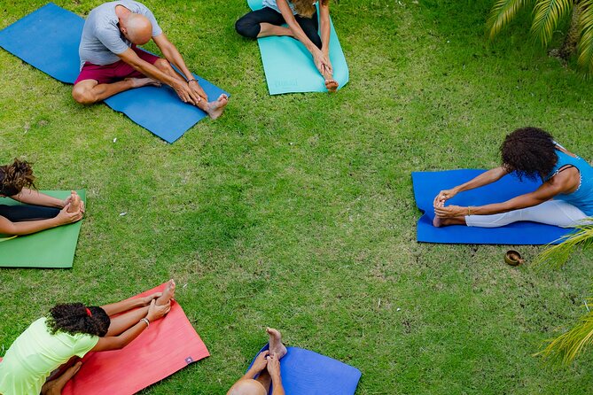 Drop-In Group Yoga Class - Punta Cana - Customer Reviews