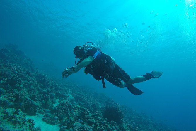 DSD Discover Scuba Diving (Min Age 10 Years) - Safety Guidelines