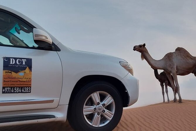 Dubai Desert Safari With Sandboarding & Camel Riding - Entertainment Options