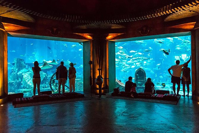 Dubai Mall Aquarium & Underwater Zoo - Discovering Accessible Visitor Amenities