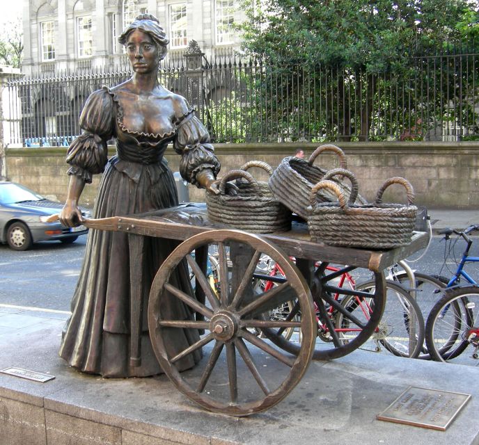 Dublin: Private Tour of City Monuments in Spanish - Accessibility Features