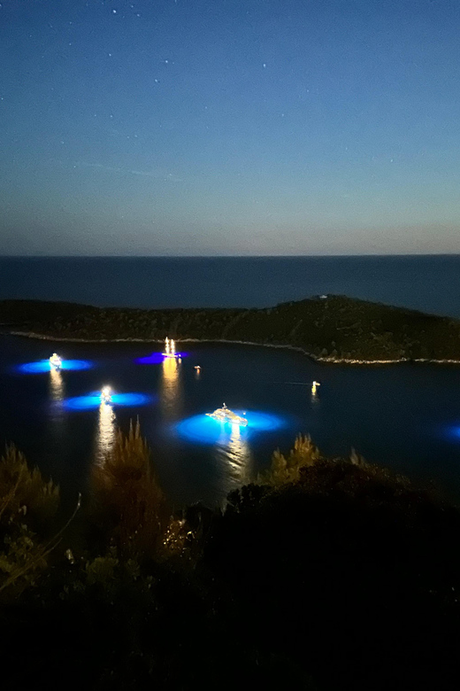 Dubrovnik Night Drive: Lights of the Adriatic - Panoramic Views