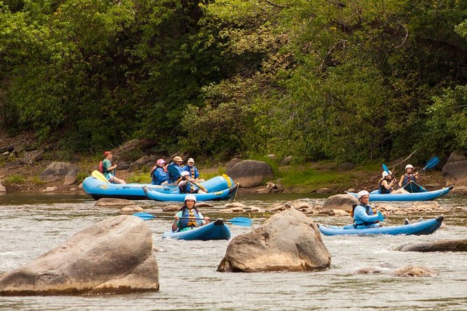Durango Rafting - Animas River Adventure Day - Traveler Reviews and Ratings