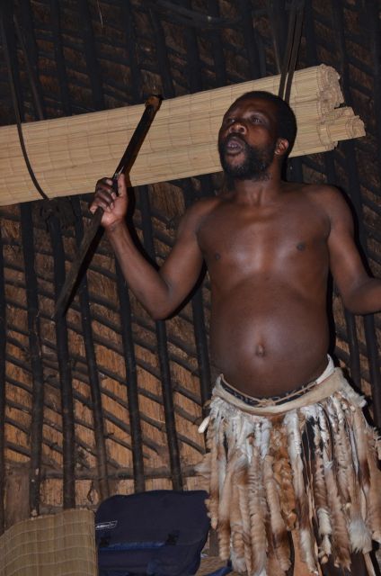 Durban: Phezulu Cultural Village & Reptile Park Tour - Captivating Zulu Dancing Performance