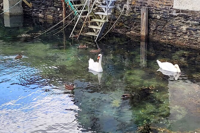 Dusk Walking Tour of Fowey - Participant Reviews