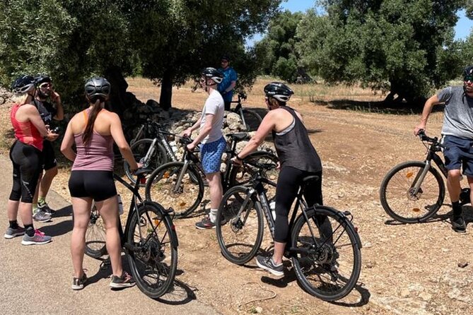 E-Bike, Focaccia and Wine - Participant Reviews