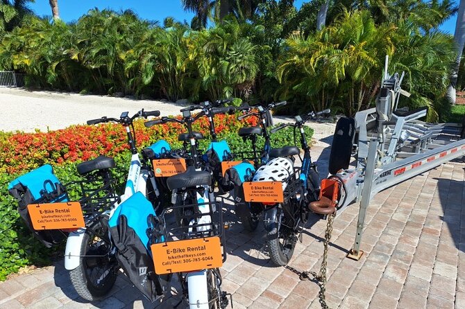 E-Bike Rental in the Florida Keys - Customer Feedback and Ratings