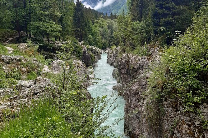 E-bike Tour to The Great Soča Gorge and Šunik Water Grove - Discovering Šunik Water Grove