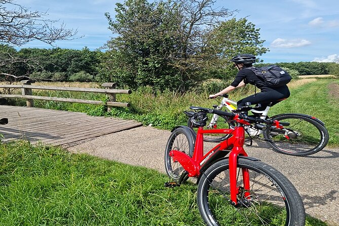 E-Biking Northern Forgotten Giants S Adventure - Reviews and Ratings