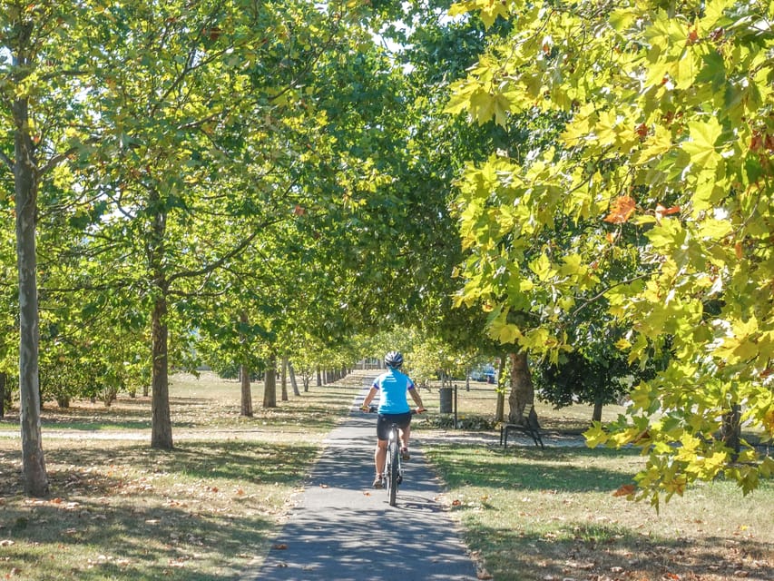 E-Mountain Bike Adventure in the Danube Bend - Cycling Experience and Terrain