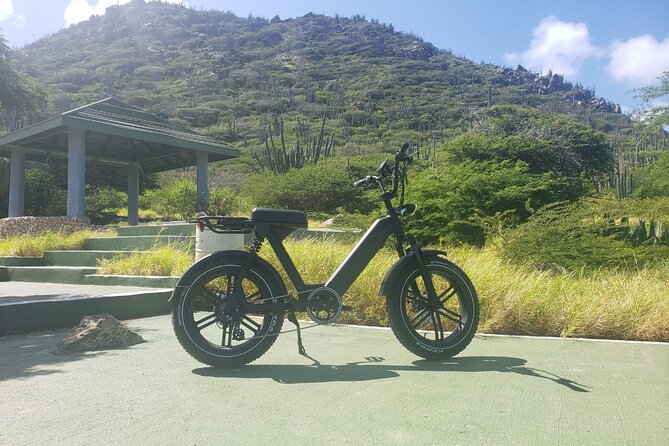 Ebike Rentals in Aruba - Accessibility and Participation