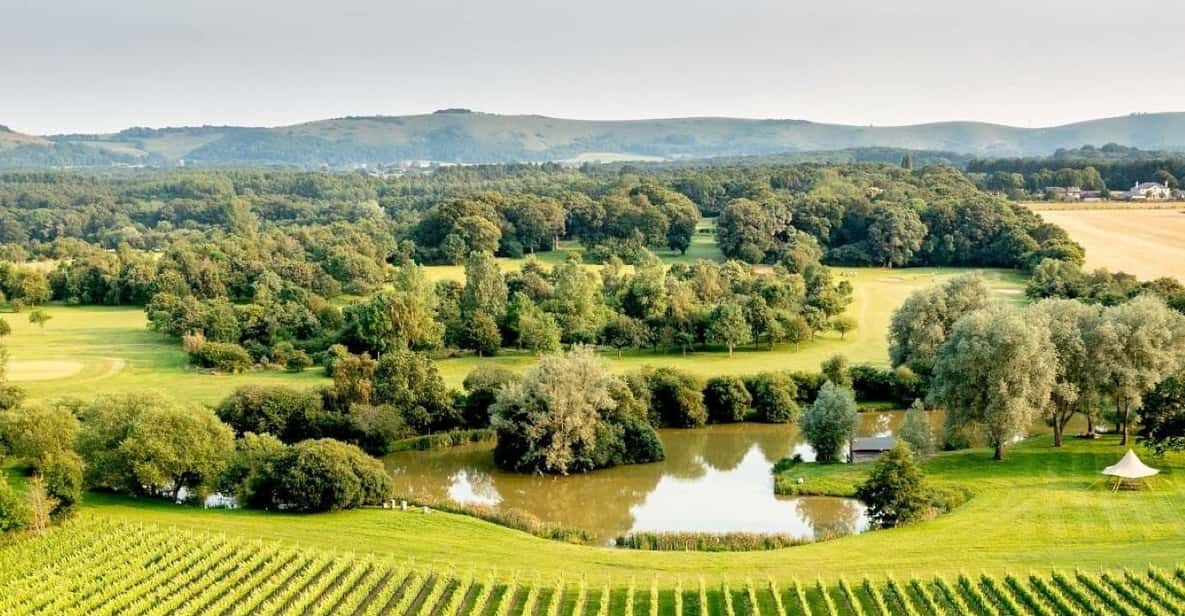 Ebike Tour Albourne Estate: Wine Tasting and Downs Ebiking - Local Sussex Cheeses Pairing